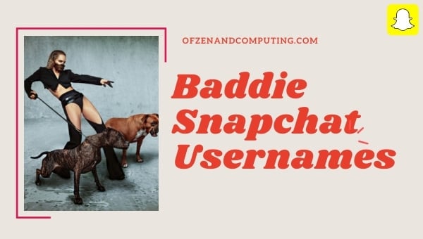 Ideen für Baddie-Snapchat-Benutzernamen (2024)