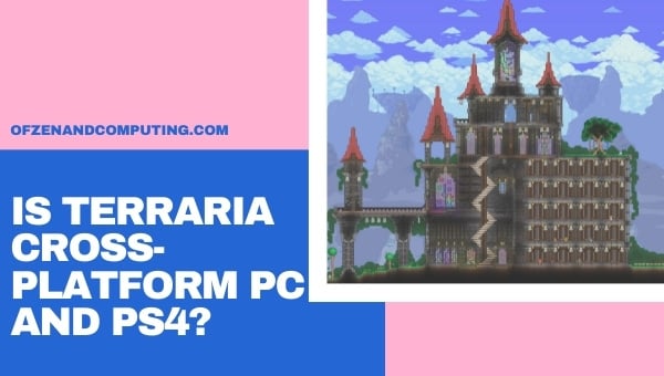 Ist Terraria plattformübergreifend für PC und PS4/PS5?