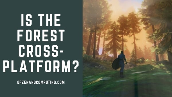 The Forest est-il multiplateforme en 2024 ?