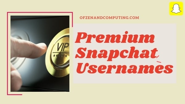 Noms d'utilisateur Snapchat Premium (2024)