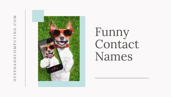 Funny Contact Names (2024)