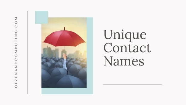 Unique Contact Names (2024)