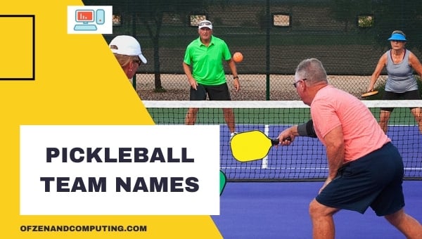 Pickleball Team Names Ideas (2024)