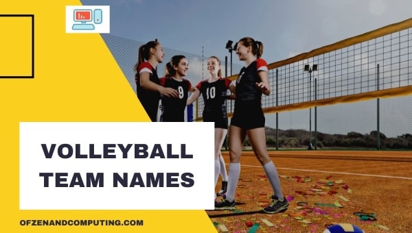 Volleyball Team Names Ideas (2024)