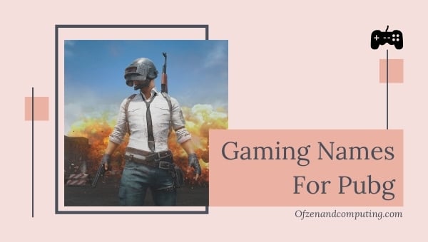 Gaming Names For Pubg (2024)