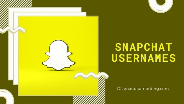 Idées de noms d'utilisateur Snapchat (2022)