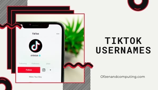 Idées de noms d'utilisateur TikTok (2022)