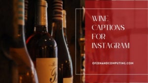 Légendes de vin pour Instagram (2022) Sauvage, drôle, mignon