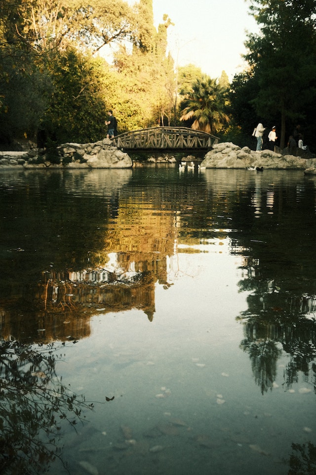 Reflection In The Water Over Bridge