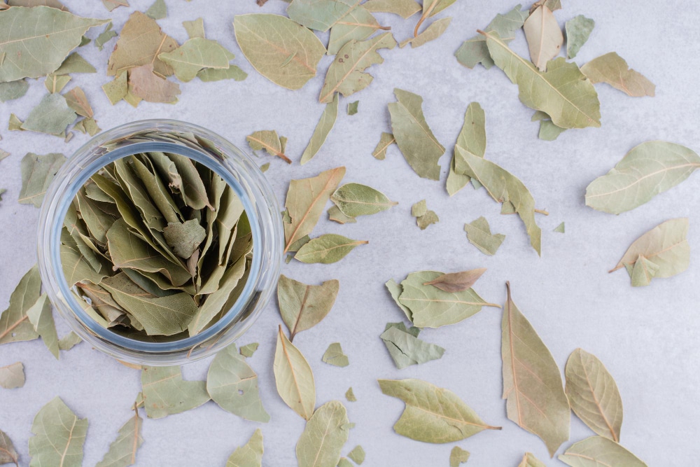 Bay Leaf For Manifestation