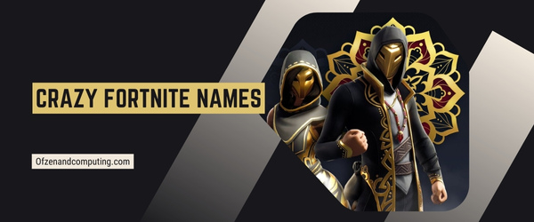 Crazy Fortnite Names 2024 (Usernames)