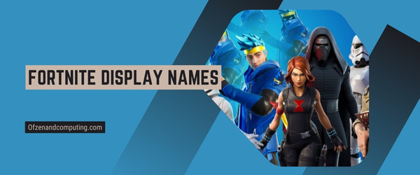 Fortnite Display Names 2024 (Usernames)