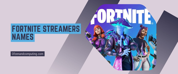 Nomes de streamers Fortnite 2024 (nomes de usuário)