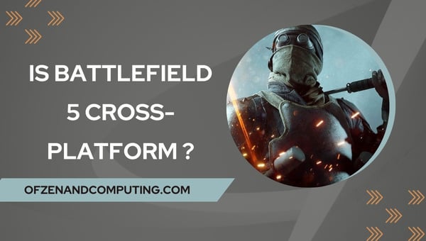 Ist Battlefield 5 im Jahr 2024 plattformübergreifend?