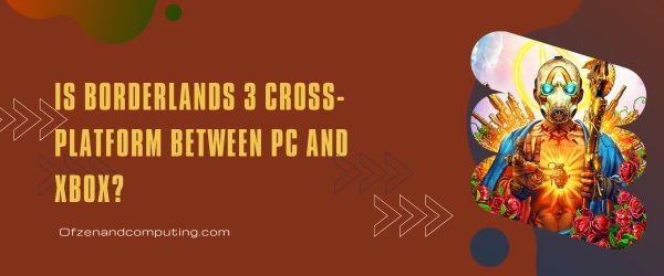 Is Borderlands 3 Cross-Platform Between PC And Xbox?