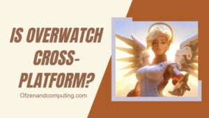 Is Overwatch Cross-Platform in [cy]? [The Truth]