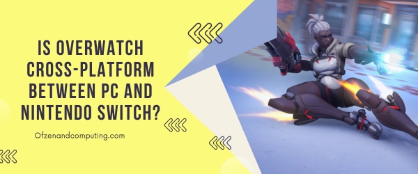 Overwatch est-il multiplateforme entre PC et Nintendo Switch ?