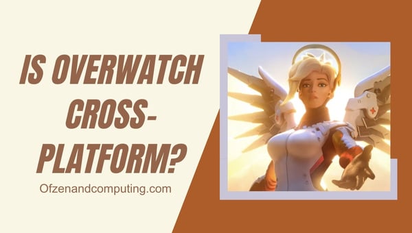 Overwatch est-il multiplateforme dans [cy] ? [La vérité]