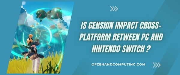 Est-ce que Genshin Impact est multiplateforme entre PC et Nintendo Switch ?