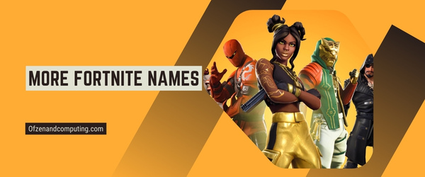 More Fortnite Names 2024 (Usernames)