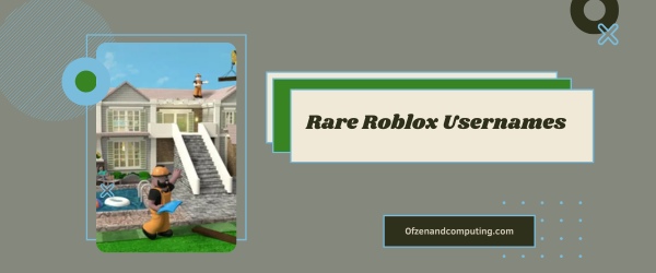 Seltene Roblox-Benutzernamen 2024 (Namen)