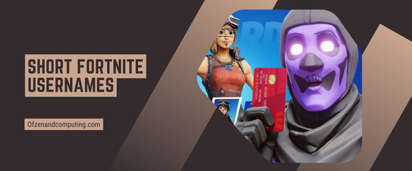 Kurze Fortnite-Benutzernamen 2024 (Benutzernamen)