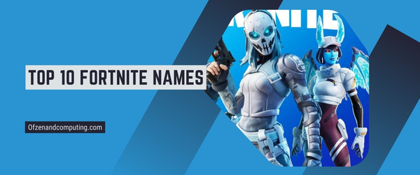 Top 10 Fortnite Names 2024 (Usernames)