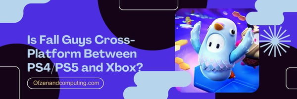 Is Fall Guys Cross-Platform Between PS4/PS5 and Xbox?