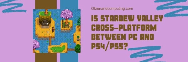 Est-ce que Stardew Valley est multiplateforme entre PC et PS4/PS5 ?