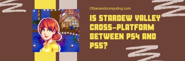 Stardew Valley est-il multiplateforme entre PS4 et PS5 ?