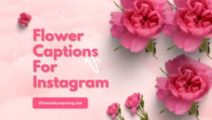 Legendas de flores para Instagram ([cy]) Bonito, engraçado, bom